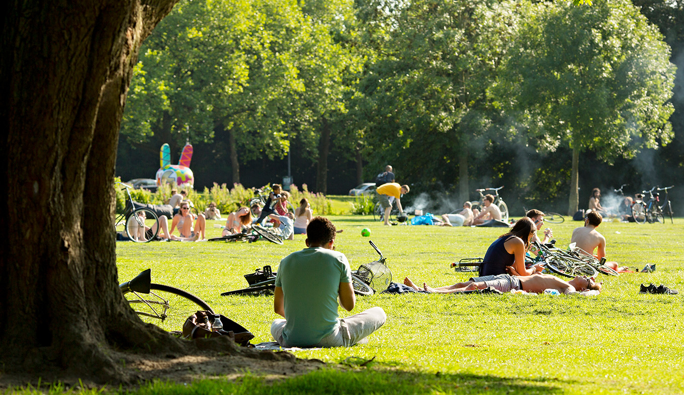 Picnicking in the Netherlands top tips and the best spots